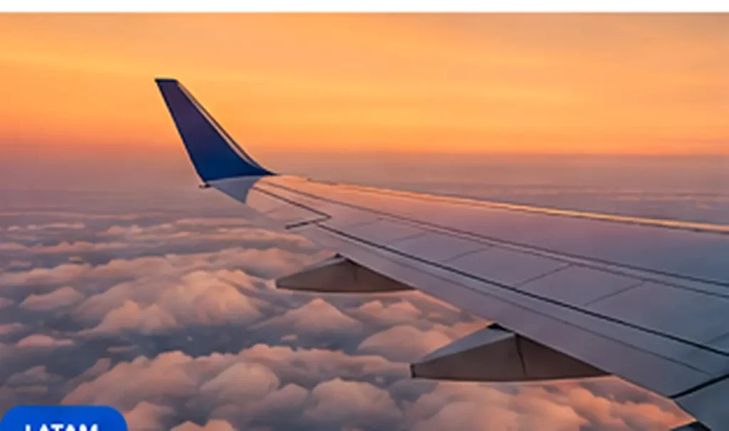 Fotografía editorial de viajes y turismo: mascotas en latam: cómo preparar un traslado responsable