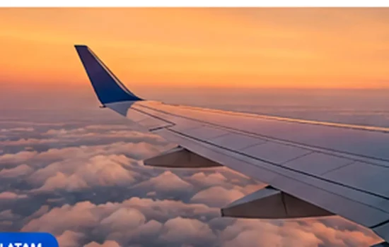 Fotografía editorial de viajes y turismo: mascotas en latam: cómo preparar un traslado responsable